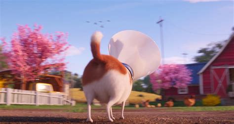 The Secret Life of Pets 2 (2019)