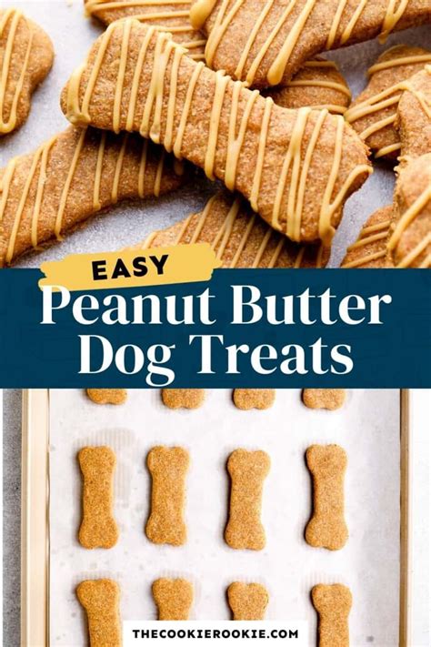 Homemade Dog Treats Recipe - Peanut Butter Dog Treats (How-to Video)