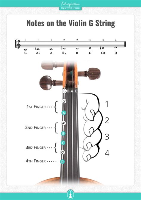 All Violin Notes for Beginners [Easy PDF Charts] - Violinspiration