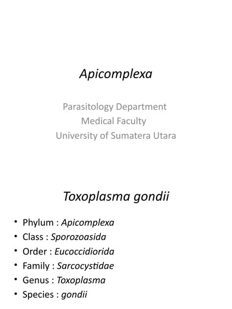 Apicomplexa: Parasitology Department Medical Faculty University of ...