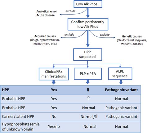 Diagnostic work-up of patients with low alkaline phosphatase. See text... | Download Scientific ...