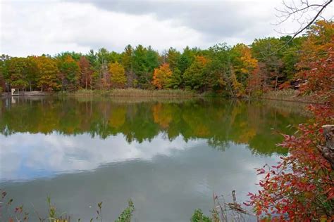 Cheesequake State Park In Matawan, NJ | America's State Parks