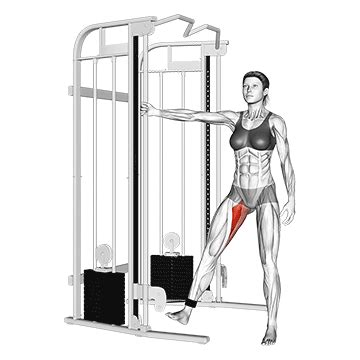 How To Do Cable Hip Adduction | Muscles Worked And Benefits