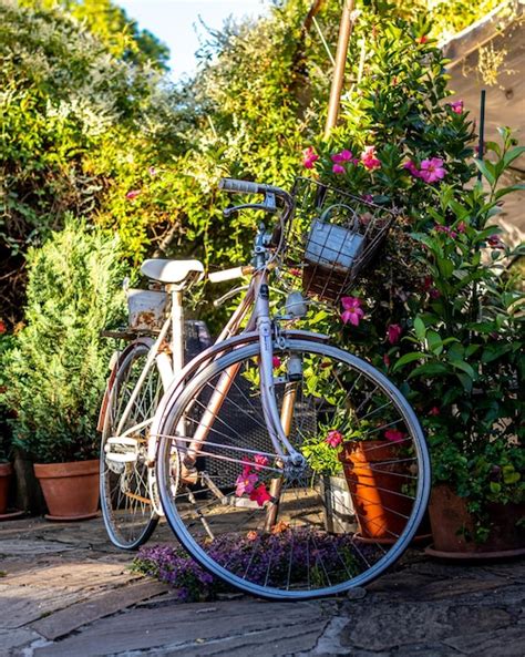 Premium Photo | Old bicycle in a garden