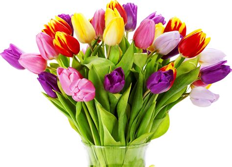 Wallpaper : tulips, flowers, bouquet, bright, vase, white background 3600x2600 - wallhaven ...