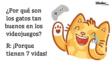 50 chistes de animales para niños, padres y maestros