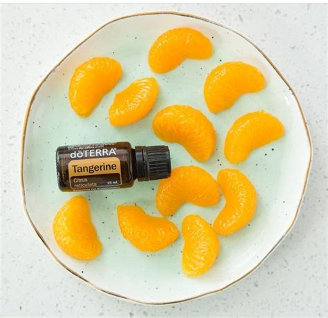 Tangerine Essential Oil – Essentially YOURS