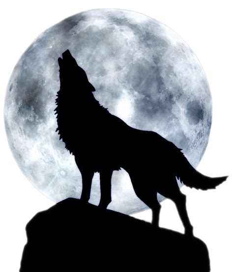 Wolf Moon Wolf Clipart Tattoo Illustration Png Transparent Clipart ...