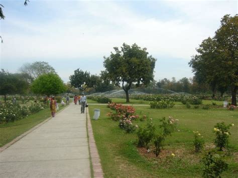 Top 13 Best places to visit in Chandigarh {Updated} – Trippy Mania