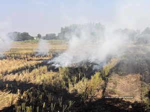 Green Tribunal asks Punjab, Haryana, UP about steps to tackle crop burning - The Economic Times