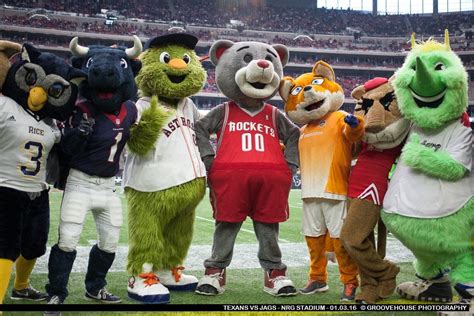 "A few Houston mascots at the Texans vs Jaguars game!" by Mahpsirhc in houston : r/ImagesOfTexas