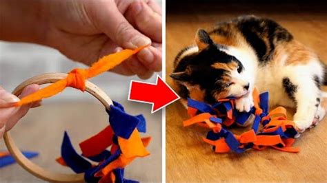 Easy To Make DIY Cat Toys Your Pet Will Love! - YouTube