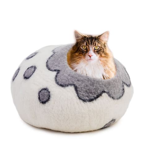 Which Cat Cave is Best for Cats? – Woolygon