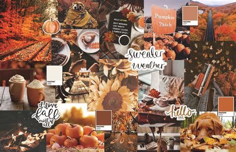 Fall Backgrounds Aesthetic Collage