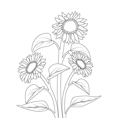 kids sunflower coloring page pencil drawing of vector design with pencil sketch 10792092 Vector ...