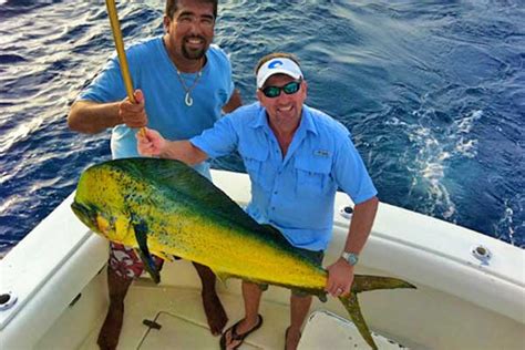 Cabo Fishing Charters - Pochos Half and Full Day Cabo Fishing Trips