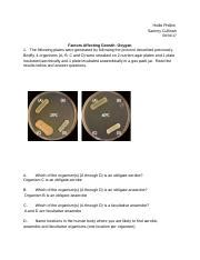 Obligate aerobe and facultative anaerobe can use oxygen for metabolism ...