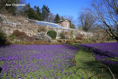 Wallington Hall Gardens near Morpeth and places to stay and visit - Great British Gardens