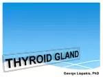 PPT - PHYSIOLOGY OF THYROID GLAND PowerPoint Presentation, free download - ID:2089814