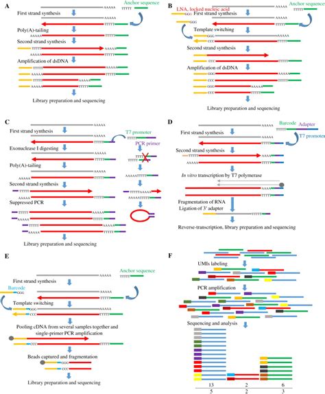 Single-Cell Sequencing Technologies – Current and Future | RNA-Seq Blog