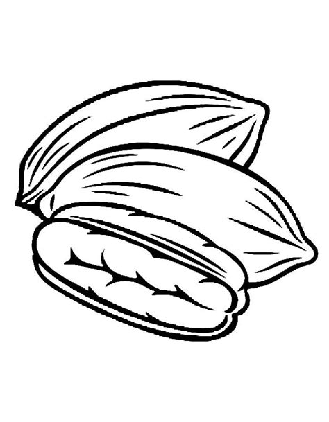 Pecan nuts coloring page