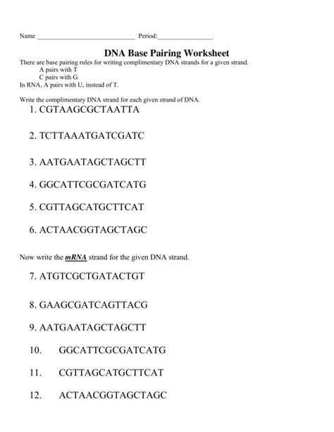 Dna Base Pairing Worksheet Answers