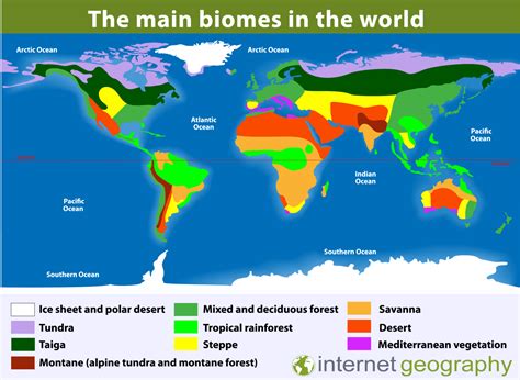 world map biomes - Internet Geography