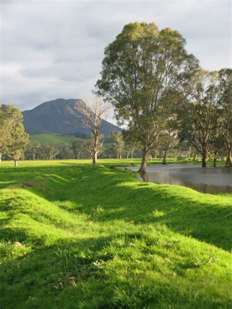 "Fair Dinkum" Explored: Meaning and Origination