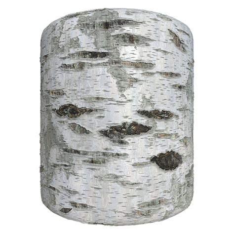 Birch Tree Bark Texture | Free PBR | TextureCan