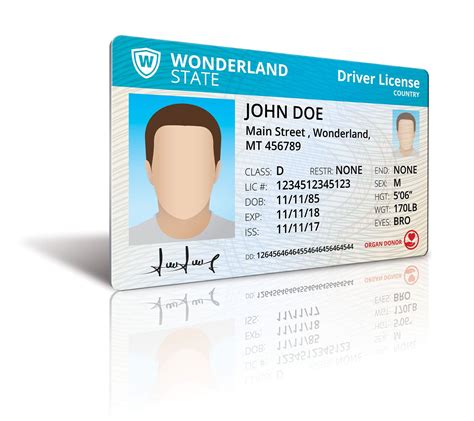 Free 2665+ Driver License Mockup Yellowimages Mockups