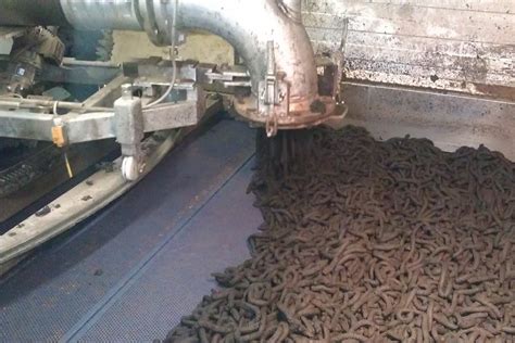 Sewage sludge dryer for 8 years in operation - Dorset Group