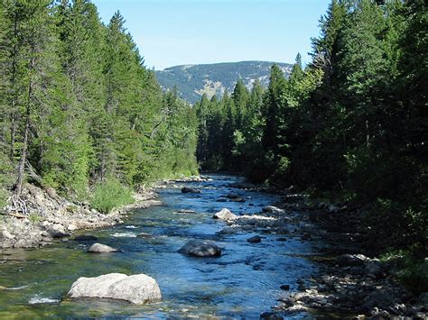 The Boulder River in Montana : Fly Fishing Information, Photos ...