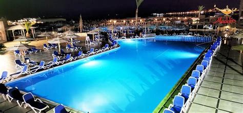 Aladdin back - Review of Aladdin Beach Resort, Hurghada - Tripadvisor