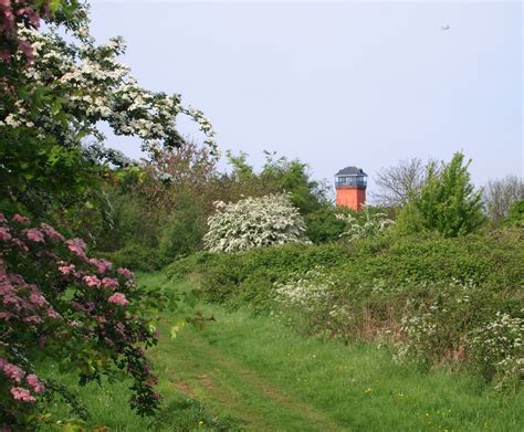 Woolwich Common, London SE18 © David Hallam-Jones :: Geograph Britain and Ireland