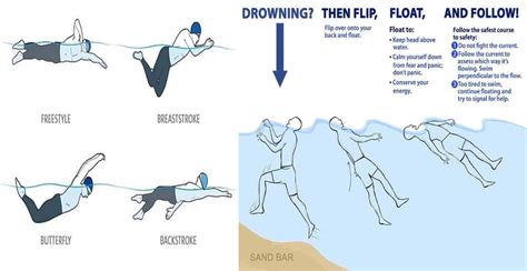 Learn Basic Swimming Techniques - Engineering Discoveries | Swimming ...