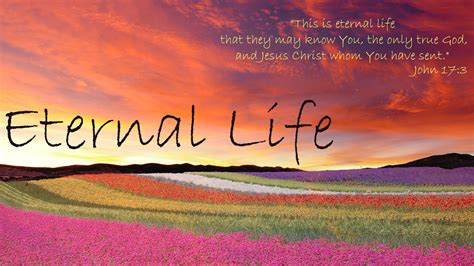 Eternal Life: A Christian Perspective | Thoughts of God