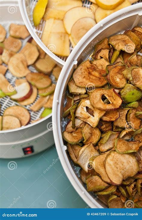 Fruit Dryer with Apple Pieces Stock Image - Image of dryer, surplus: 43467209