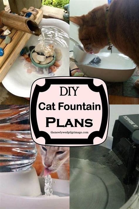 14 DIY Cat Fountain Plans | Cat fountain, Cat diy, Diy water fountain