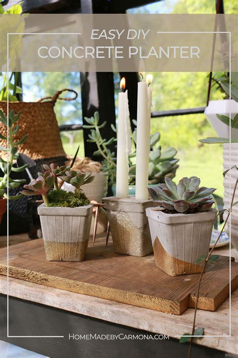 How To Make DIY Concrete Planters