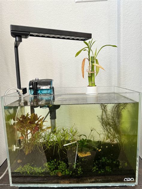 Aquarium plant holder by Anis Abdul | Download free STL model ...