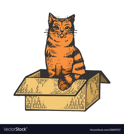 Cat in box color sketch Royalty Free Vector Image