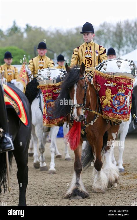 Drum Shire Horse Apollo at the Royal Windsor Horse Show 2023, performing with the Household ...