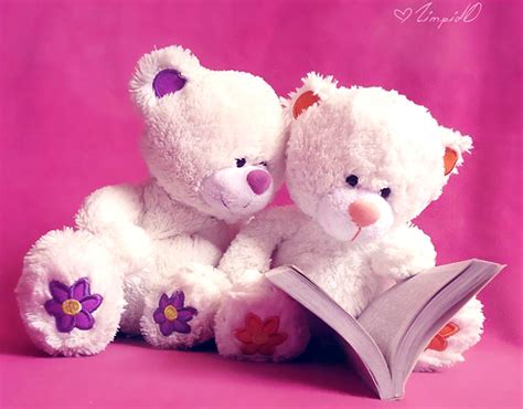 Cute Teddy Bears Wallpapers - WallpaperSafari