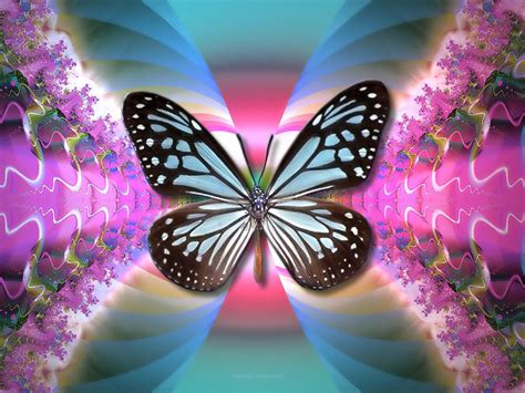 Butterfly Blue, abstract, blue, Butterfly, pink 242399 | Butterfly background, Butterfly ...