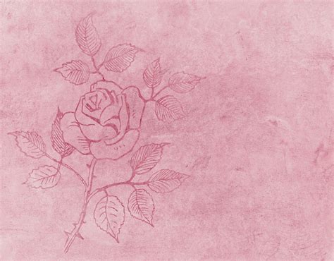 Rose Tattoo Pink Background Free Stock Photo - Public Domain Pictures
