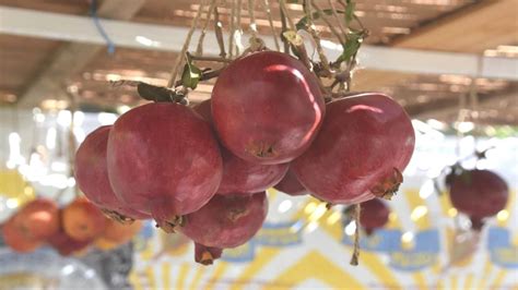 The Perfect List of Sukkah Decorations Ideas for Sukkot - B'nai Mitzvah ...