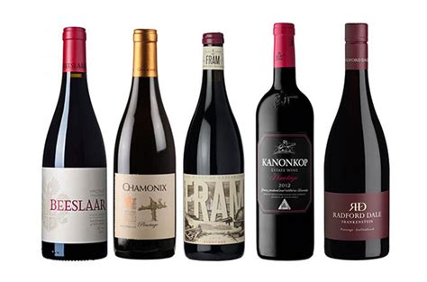 What Pinotage tastes like: Wines to change your mind - Decanter