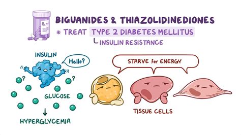 Oral antidiabetic medications - Biguanides & thiazolidinediones: Nursing Pharmacology - Osmosis ...