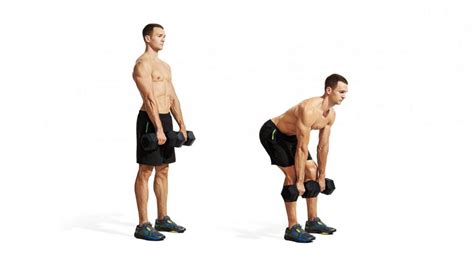 Stiff Leg Dumbbell Deadlift: How To, Benefits, Muscles Worked