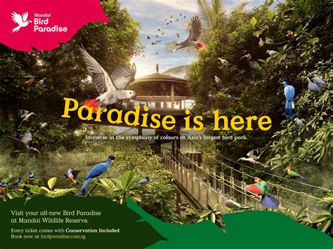 Bird Paradise Tickets in Singapore | Pelago